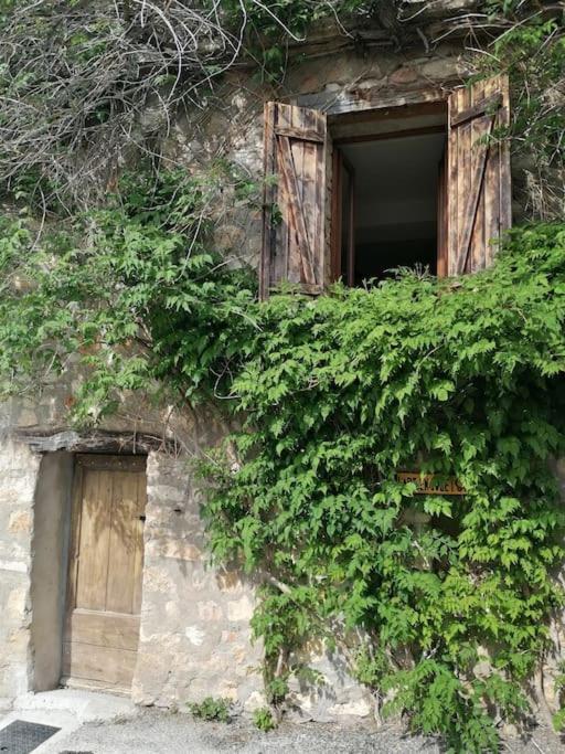 La Maison De La Vigne Bauduen Esterno foto